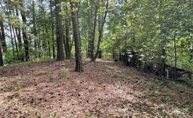 LOT 8 Obrey Drive, Isle of Wight County, VA 23314