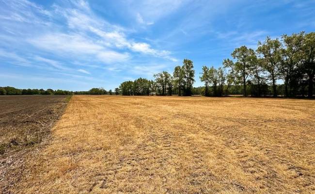 36ac West Road, Chesapeake, VA 23323