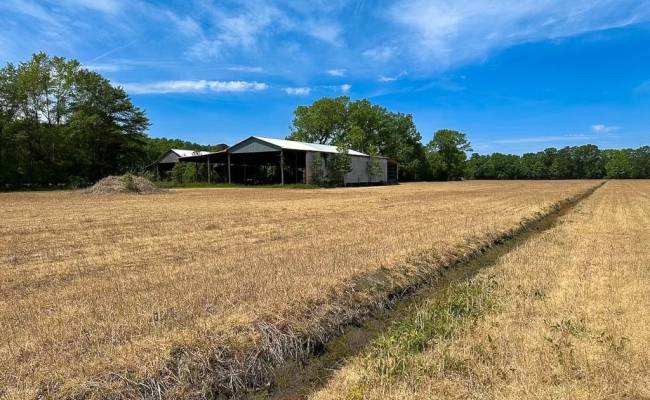 36ac West Road, Chesapeake, VA 23323