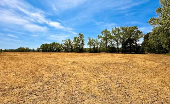 36ac West Road, Chesapeake, VA 23323