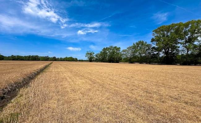 36ac West Road, Chesapeake, VA 23323