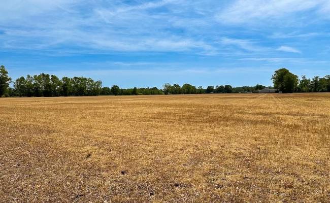 36ac West Road, Chesapeake, VA 23323