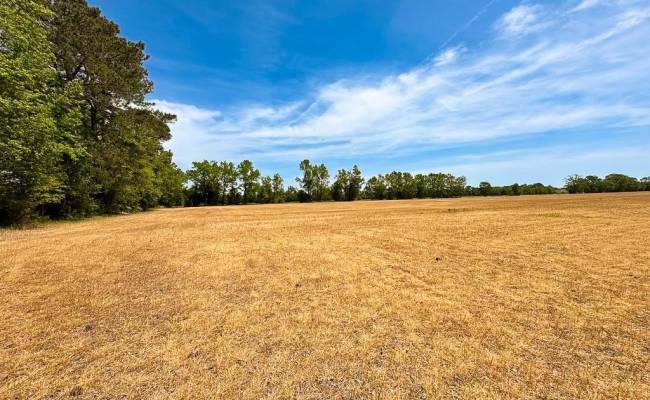 36ac West Road, Chesapeake, VA 23323