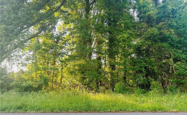 .21ac Glen Street, King William County, VA 23181