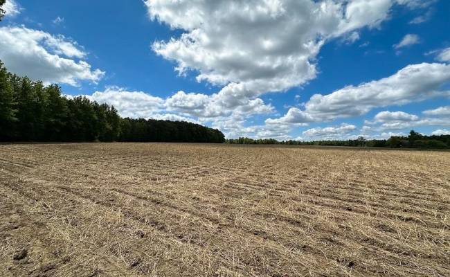 30AC Bobcat Lane, Isle of Wight County, VA 23851