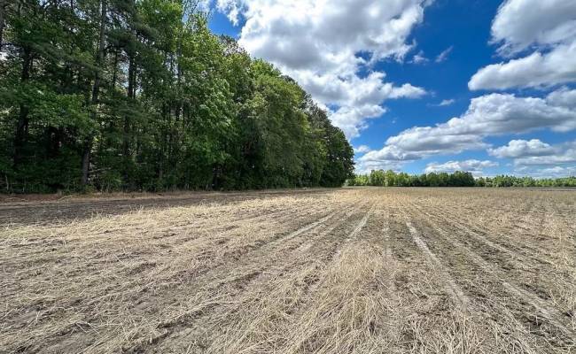 30AC Bobcat Lane, Isle of Wight County, VA 23851