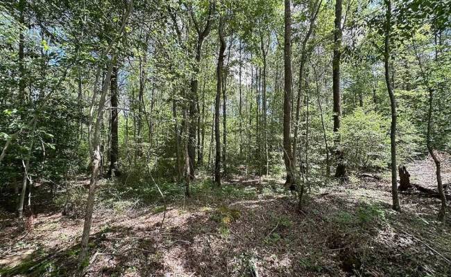 30AC Bobcat Lane, Isle of Wight County, VA 23851