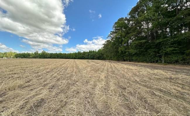 30AC Bobcat Lane, Isle of Wight County, VA 23851