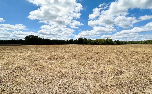 30AC Bobcat Lane, Isle of Wight County, VA 23851