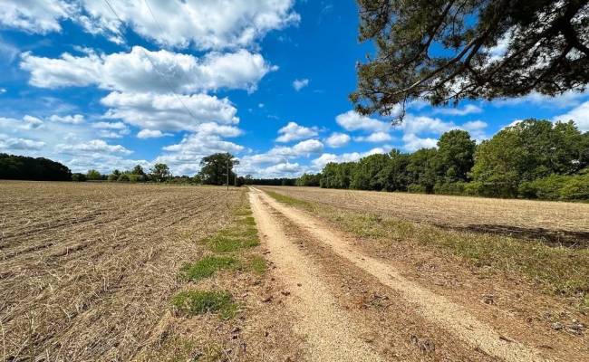 30AC Bobcat Lane, Isle of Wight County, VA 23851