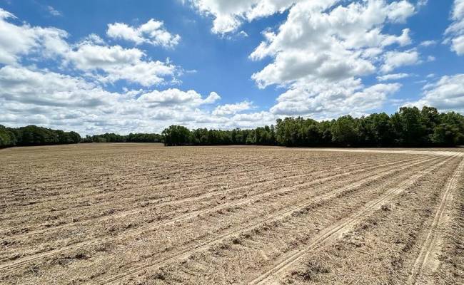 30AC Bobcat Lane, Isle of Wight County, VA 23851