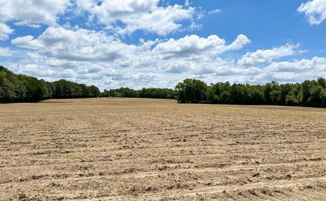 30AC Bobcat Lane, Isle of Wight County, VA 23851