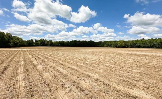 30AC Bobcat Lane, Isle of Wight County, VA 23851