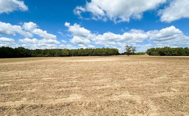 30AC Bobcat Lane, Isle of Wight County, VA 23851