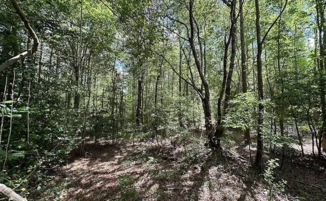 30AC Bobcat Lane, Isle of Wight County, VA 23851