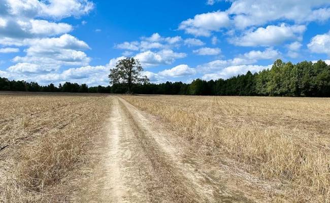 30AC Bobcat Lane, Isle of Wight County, VA 23851