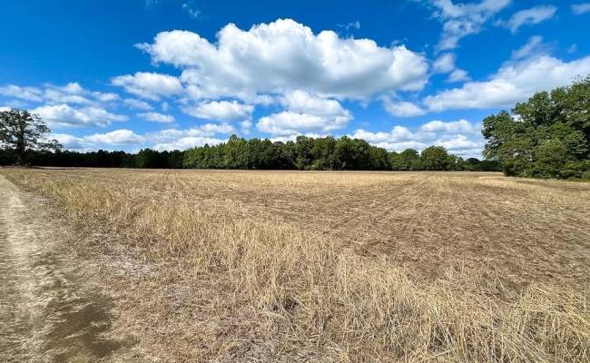 30AC Bobcat Lane, Isle of Wight County, VA 23851