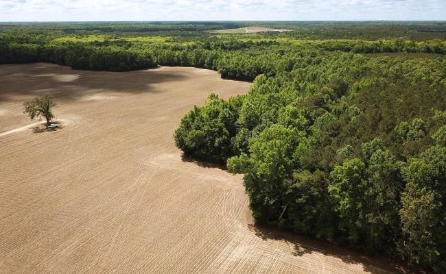 30AC Bobcat Lane, Isle of Wight County, VA 23851