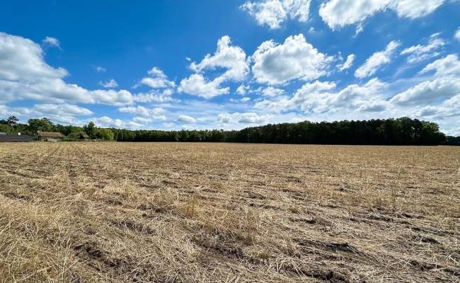 30AC Bobcat Lane, Isle of Wight County, VA 23851