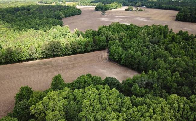 55ac Bobcat Lane, Isle of Wight County, VA 23851