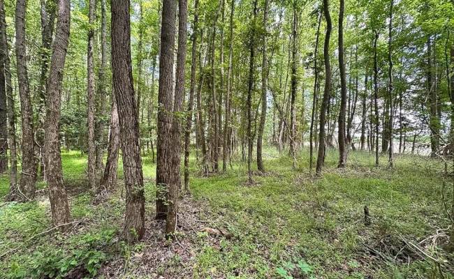 55ac Bobcat Lane, Isle of Wight County, VA 23851