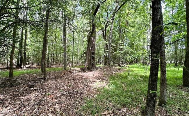 55ac Bobcat Lane, Isle of Wight County, VA 23851