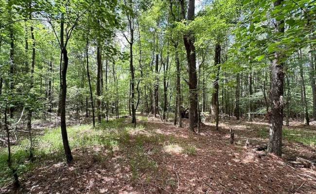 55ac Bobcat Lane, Isle of Wight County, VA 23851