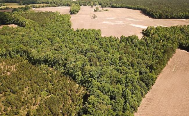 55ac Bobcat Lane, Isle of Wight County, VA 23851