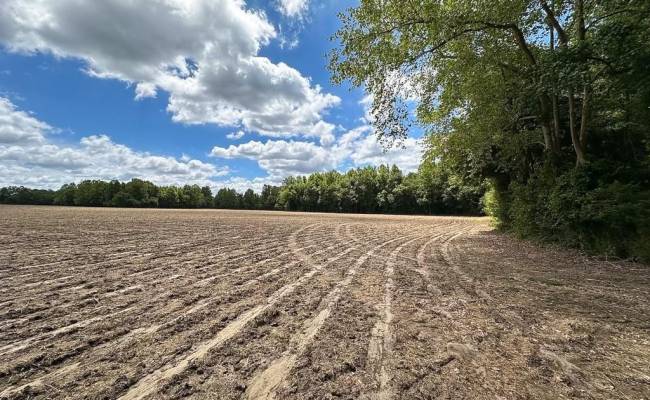 55ac Bobcat Lane, Isle of Wight County, VA 23851