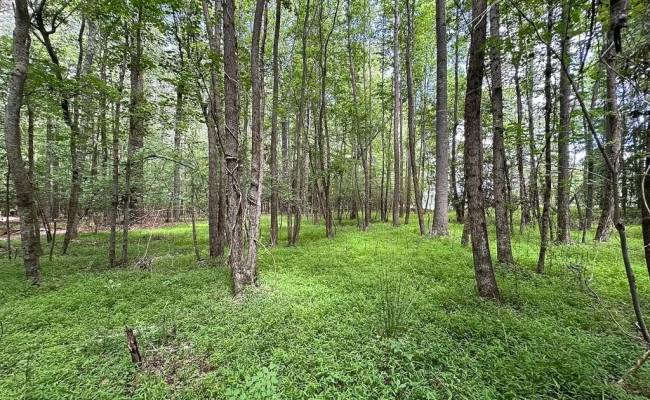 55ac Bobcat Lane, Isle of Wight County, VA 23851