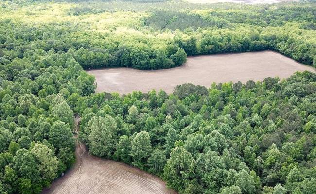 55ac Bobcat Lane, Isle of Wight County, VA 23851