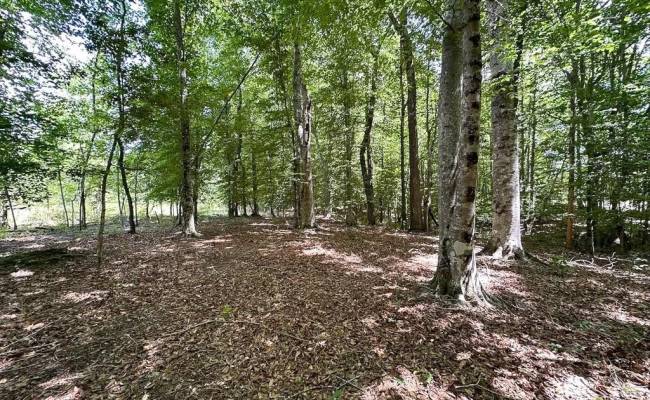 55ac Bobcat Lane, Isle of Wight County, VA 23851