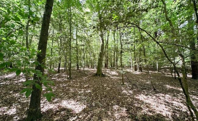 55ac Bobcat Lane, Isle of Wight County, VA 23851