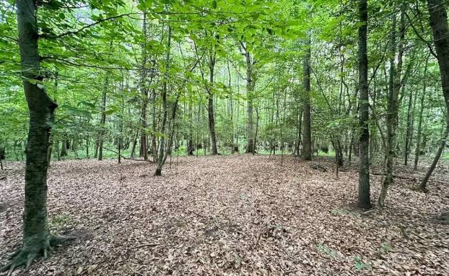 55ac Bobcat Lane, Isle of Wight County, VA 23851