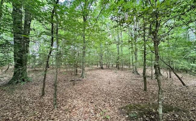 55ac Bobcat Lane, Isle of Wight County, VA 23851