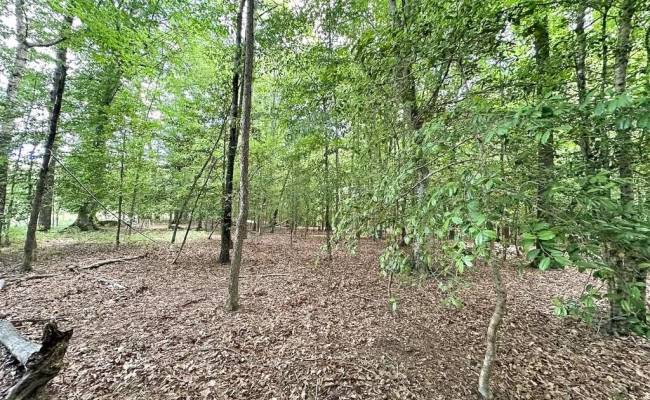 55ac Bobcat Lane, Isle of Wight County, VA 23851