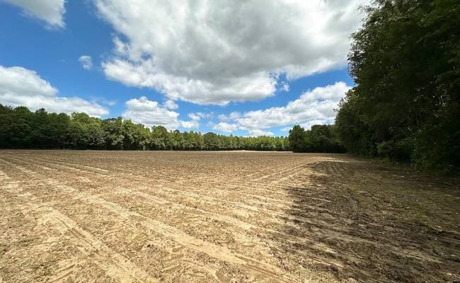 55ac Bobcat Lane, Isle of Wight County, VA 23851