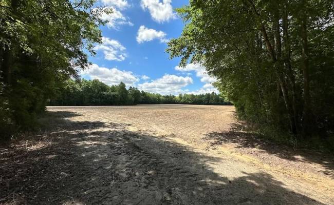 55ac Bobcat Lane, Isle of Wight County, VA 23851