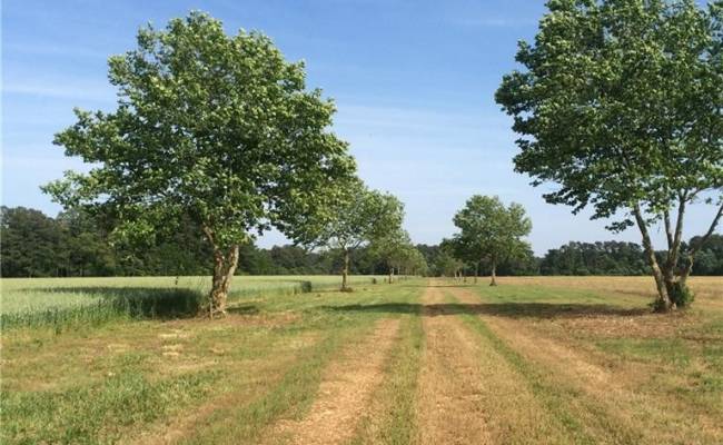 Lot 16 Metompkin Road, Accomack County, VA 23414