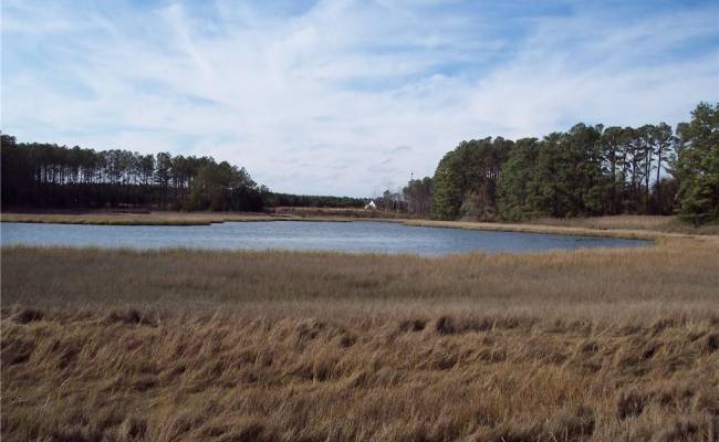 Lot 16 Metompkin Road, Accomack County, VA 23414