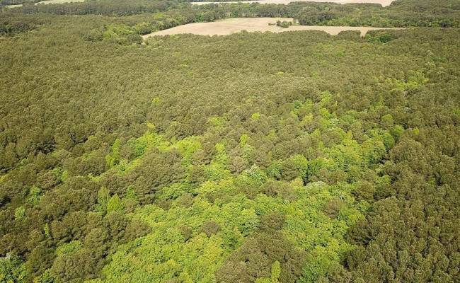 1.75ac Kegotank (Lot 2) Road, Accomack County, VA 23414