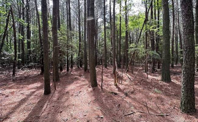 1.75ac Kegotank (Lot 2) Road, Accomack County, VA 23414