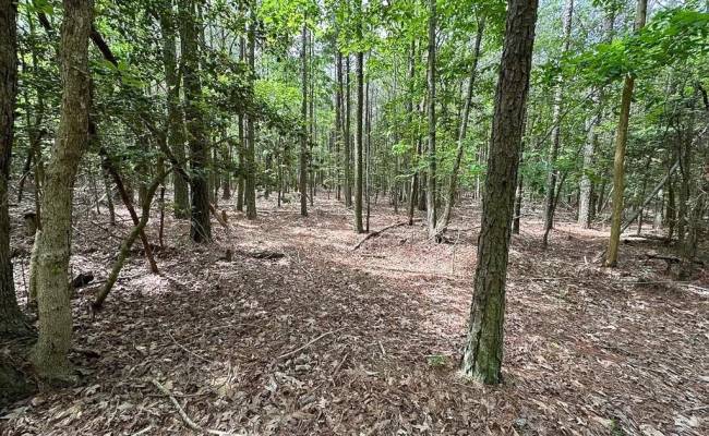 1.75ac Kegotank (Lot 2) Road, Accomack County, VA 23414