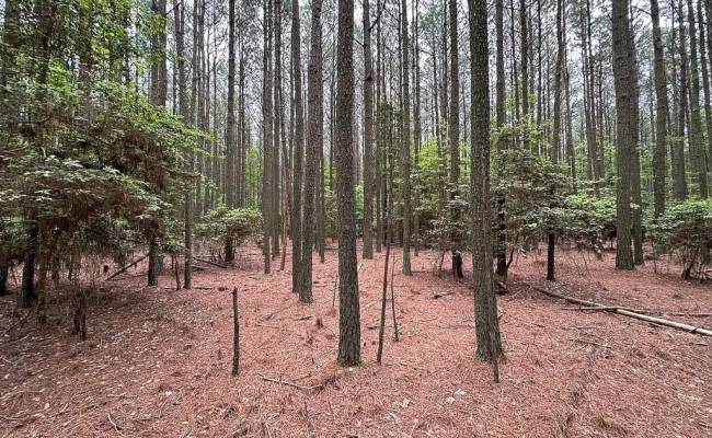 1.75ac Kegotank (Lot 2) Road, Accomack County, VA 23414