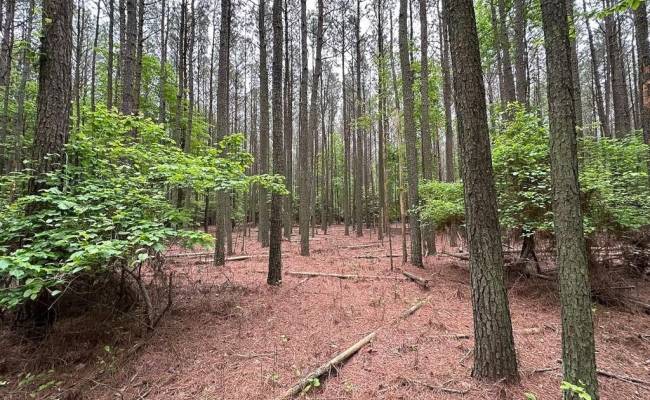 1.75ac Kegotank (Lot 2) Road, Accomack County, VA 23414