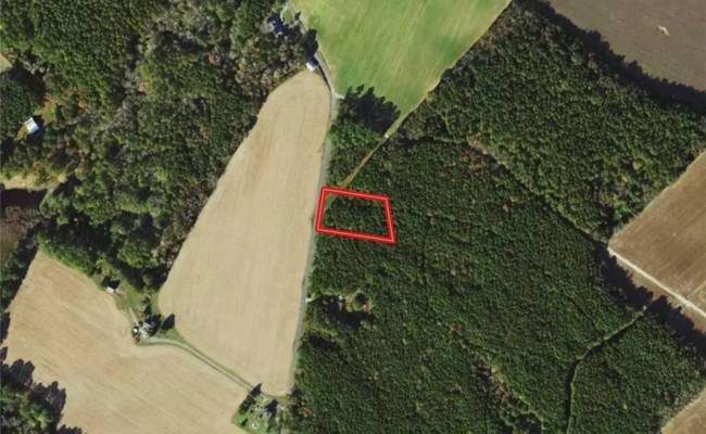 1.75ac Kegotank (Lot 2) Road, Accomack County, VA 23414