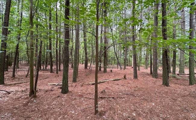 1.75ac Kegotank (Lot 2) Road, Accomack County, VA 23414