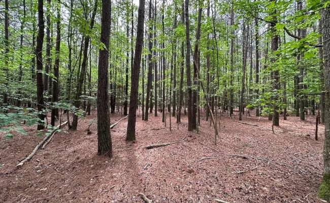 1.75ac Kegotank (Lot 2) Road, Accomack County, VA 23414