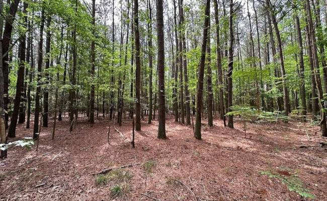 1.75ac Kegotank (Lot 2) Road, Accomack County, VA 23414