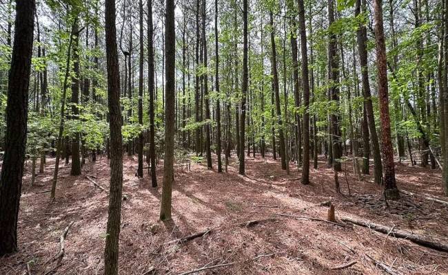 1.75ac Kegotank (Lot 2) Road, Accomack County, VA 23414